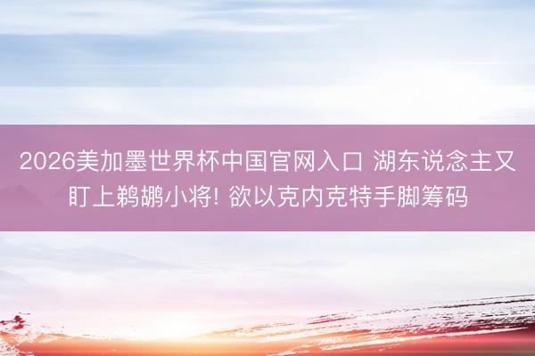 2026美加墨世界杯中国官网入口 湖东说念主又盯上鹈鹕小将! 欲以克内克特手脚筹码