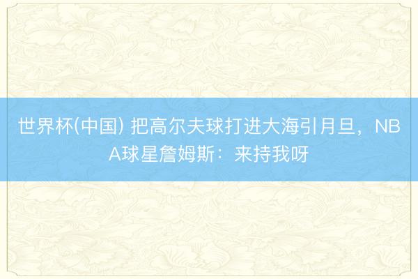 世界杯(中国) 把高尔夫球打进大海引月旦，NBA球星詹姆斯：来持