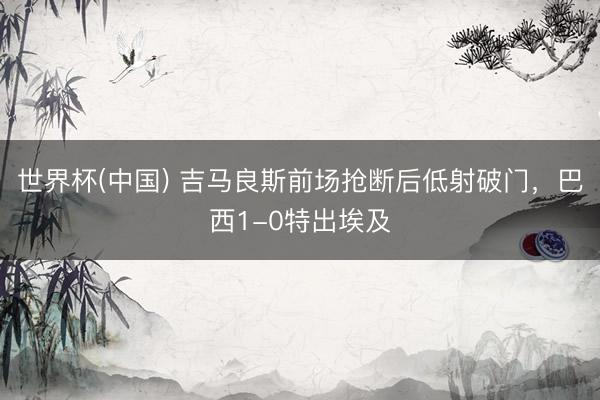 世界杯(中国) 吉马良斯前场抢断后低射破门,巴西1-0特出埃及