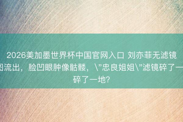 2026美加墨世界杯中国官网入口 刘亦菲无滤镜生图流出，脸凹眼肿像骷髅，