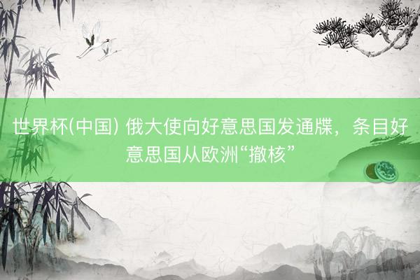 世界杯(中国) 俄大使向好意思国发通牒，条目好意思国从欧洲“撤核”