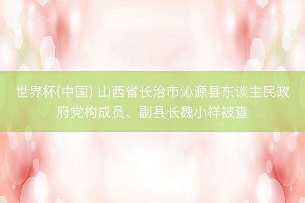 世界杯(中国) 山西省长治市沁源县东谈主民政府党构成员、副县长魏小祥被查