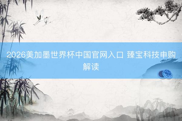 2026美加墨世界杯中国官网入口 臻宝科技申购解读