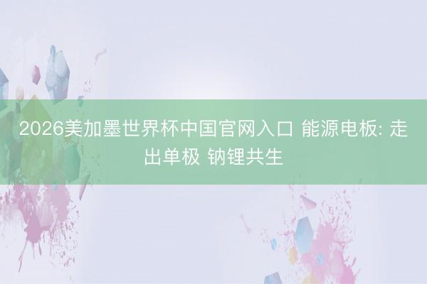 2026美加墨世界杯中国官网入口 能源电板: 走出单极 钠锂共生