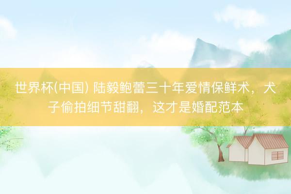 世界杯(中国) 陆毅鲍蕾三十年爱情保鲜术，犬子偷拍细节甜翻，这才是婚配范本