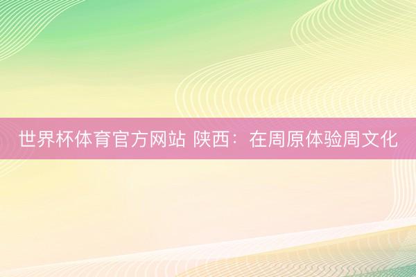 世界杯体育官方网站 陕西:在周原体验周文化