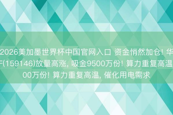 2026美加墨世界杯中国官网入口 资金悄然加仓! 华宝基金电力ETF(159146)放量高涨， 吸金9500万份! 算力重复高温， 催化用电需求