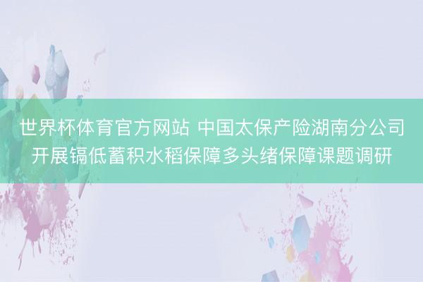 世界杯体育官方网站 中国太保产险湖南分公司开展镉低蓄积水稻保障多头绪保障课题调研